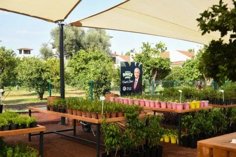 260072