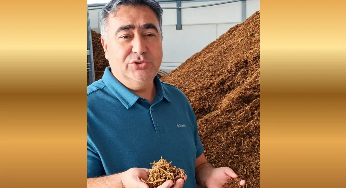 İthal üzüm yerli üreticiyi zor durumda bıraktı