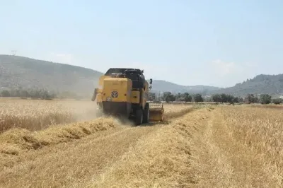 Tarımsal desteklerde artış: Üreticilere yeni destek düzenlemesi