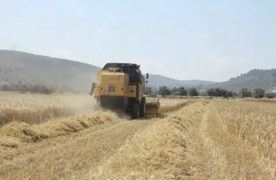Tarım-ÜFE ağustosta yüzde 0,93 geriledi